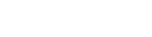 logo light